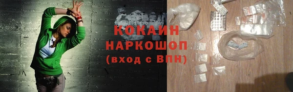 прущий лед Алзамай
