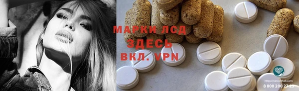 прущий лед Алзамай