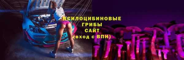 прущий лед Алзамай