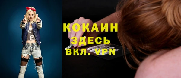 прущий лед Алзамай