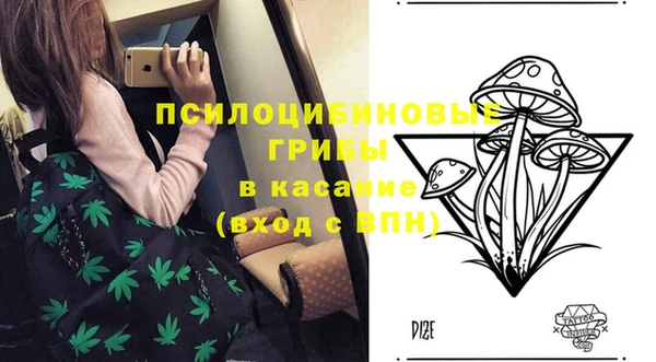 прущий лед Алзамай