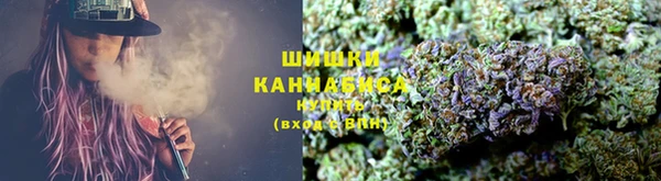 прущий лед Алзамай